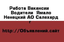 Работа Вакансии - Водители. Ямало-Ненецкий АО,Салехард г.